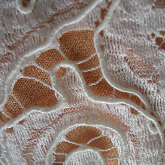 Michael Casey Ivory/Blush Alencon Lace Column Sheath Gown Long Dress Bridal Sz 6 - Picture 14 of 16